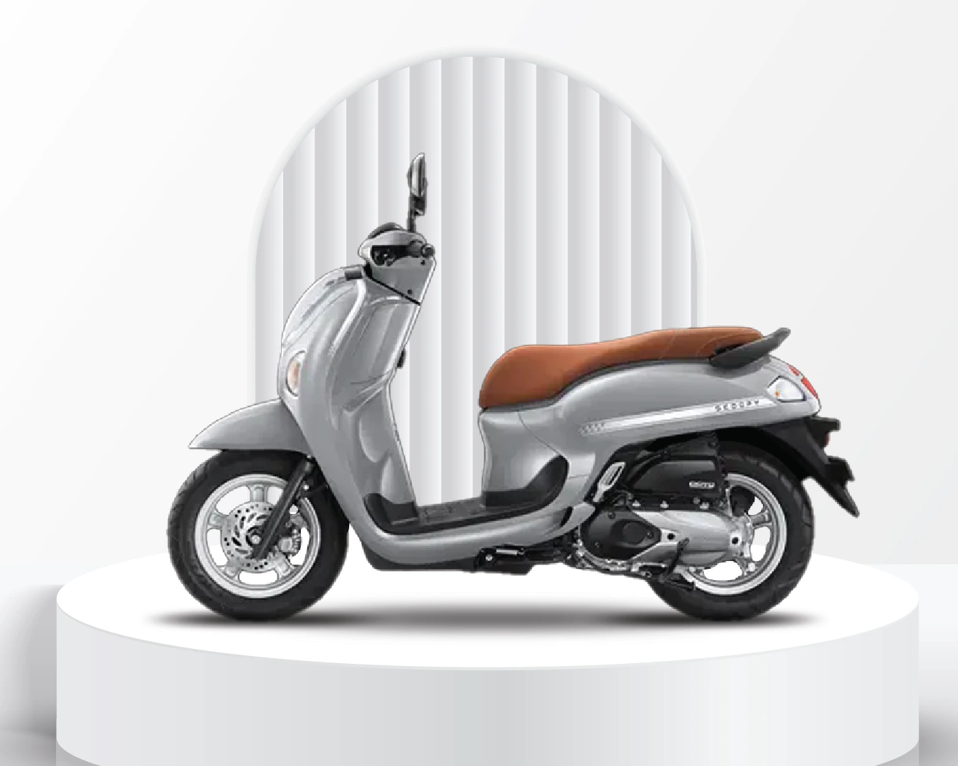 Scoopy Stylish